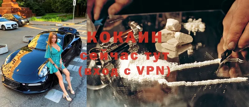 где можно купить   Кунгур  COCAIN VHQ 