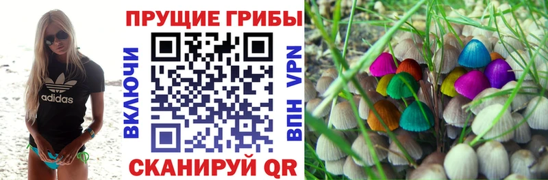 Псилоцибиновые грибы Psilocybe Кунгур