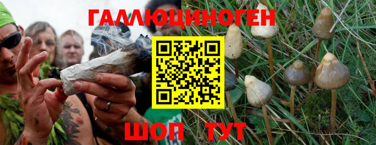 Псилоцибиновые грибы MAGIC MUSHROOMS  Галлюциногенные грибы прущие грибы  сколько стоит  Вход с VPN  Кунгур 