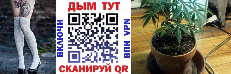 Бошки Шишки гибрид  сайты даркнета наркотические препараты  Кунгур  omg tor 